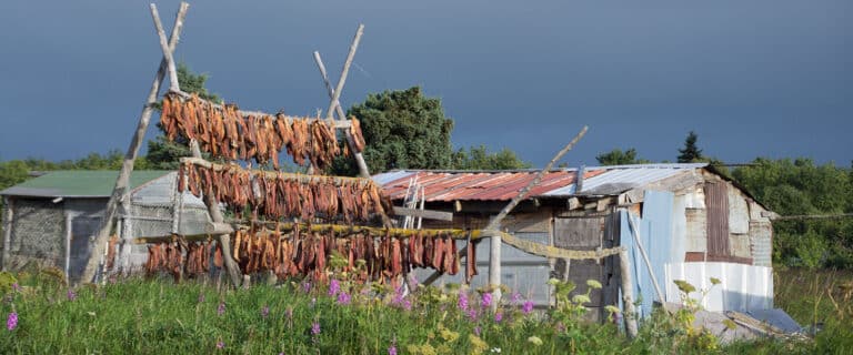 Fish hanging on a drying rack