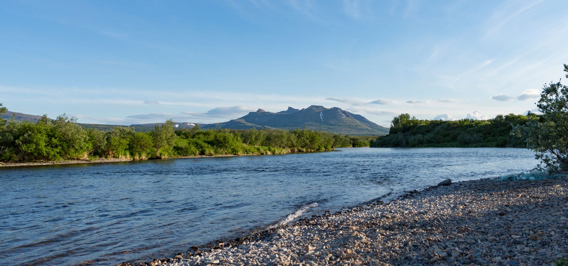 River with trees